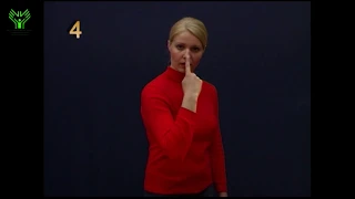 (004) Одно и тоже. Словарь лексики русского жестового языка