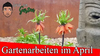 Gartenarbeiten April Staudenbeet, Hecken, Sommerblüher, Rasenpflege