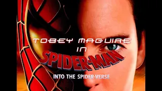 Tobey Maguire In Spider-Man Into The Spider-Verse (Opening Scene)