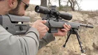 What Is The Point Of A 22LR Precision Rifle?