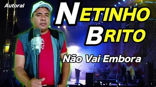 Não Vai Embora Netinho Brito/ Bregão Espetacular/ Autoral 2022