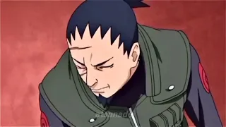 SHIKAKU'S DEATH REACTION OF SHIKAMARU😢💔