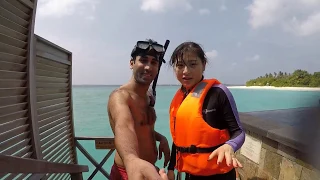 Maldives Paradise Snorkeling