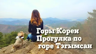 Горы Кореи. Прогулка по горе Тэгымсан. Южная Корея влог .