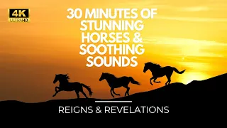 Global Gallop: Stunning Horses & Soothing Sounds: 30 Min of Relaxation, Meditation & Stress Relief