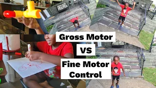 What Are Gross Motor vs Fine Motor Skills | Interactive Examples
