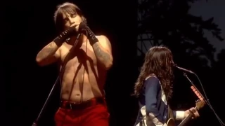 Red Hot Chili Peppers - Live at Slane Castle (2003) Havana Affair