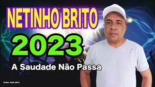 UMA SEQUENCIA DE BREGÃO DE LUXO/ NETINHO BRITO/ EU SOU APAIXONADO 2023