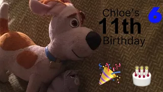 The Secret Life of Pets 2 - Episode 6 - Chloe's 11th Birthday (Read Description)