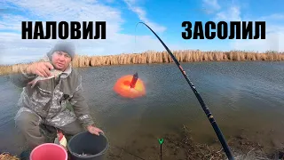 ВОТ ЭТА РЫБАЛКА!!! САМ НАЛОВИЛ САМ ЗАСОЛИЛ