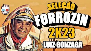 SELEÇÃO LUIZ GONZAGA FORROZIN 2K23 TOPADO PAREDÃO #forrozinho #forrozin #luizpoderosochefão #Paredao