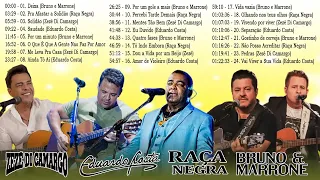 Bruno e Marrone, Raça Negra, Zezé Di Camargo, Eduardo Costa - As Melhores Musicas Acústico 31