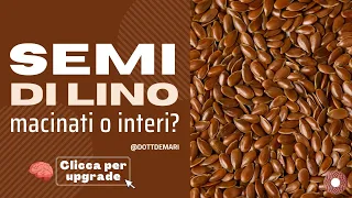 Semi di lino macinati o interi?