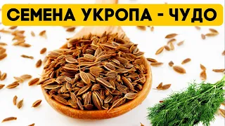 Всего одна ложка СЕМЯН УКРОПА и организм как Новый. Врачи в шоке! Семена укропа польза и вред!