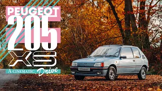 Peugeot 205 XS autumn drive | OVERTAKE | 4K