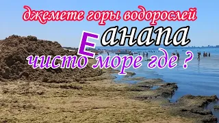 Анапские пляжи ,где чистое море ?обзор / Витязево 2022