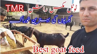 TMR best feed for goats بکری کتنا کھاتی ہے دن میں tmr feed in Pakistan