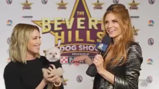 Ashley Tisdale - The Beverly Hills Dog Show (NBC)