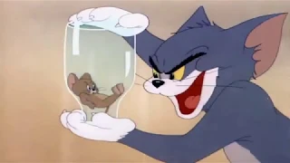Tom And Jerry English Episodes   Milky Waif   Cartoons For Kids