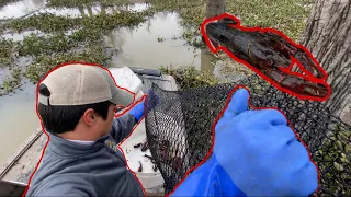 CRAWFISHING THE ATCHAFALAYA BASIN!!!