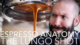 ESPRESSO ANATOMY - The Lungo Shot