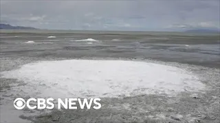 Scientists warn of poisonous air if Utah's Great Salt Lake dries up