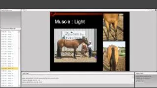 Conformation and Selection of Horses