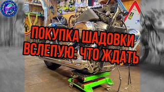 HONDA SHADOW ТЕХНИЧЕСКИЙ ОСМОТР ПОСЛЕ ПОКУПКИ