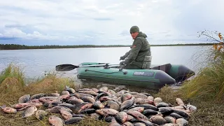 Рыбалка на торфяном, диком озере, среди Васюганских болот..