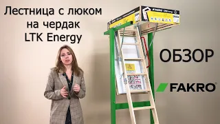 Лестница с люком на чердак LTK Energy | ОБЗОР | FAKRO | Факро TV