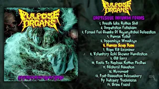 Pulpose Organs - Grotesque Inhuman Forms FULL ALBUM (2013 - Goregrind)