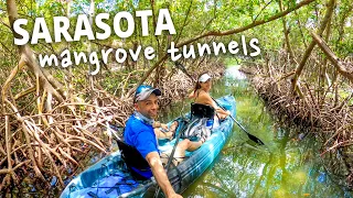 Kayaking Sarasota Mangrove Tunnels & Lido Key Beach | Florida