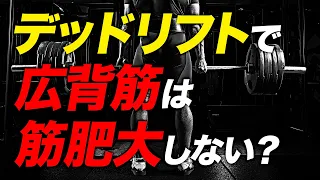 【筋トレ】デッドリフトで広背筋は筋肥大するのか？ | ボディビルチャンピオンが解説【ビーレジェンド プロテイン】