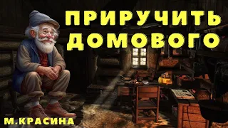 Приручить домового/ Деревенские страшилки/ Страшные истории/ Мистически истории