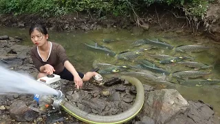 Amazing Fishing - The Girl cleverly use the pump to suck water in the wild lake Catch Many fish