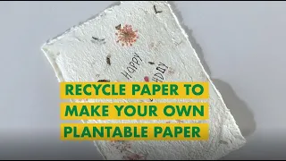 Create Your Own Plantable Paper From Recycled Paper