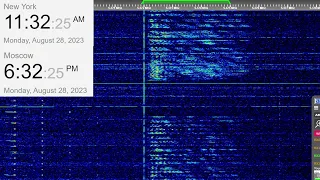 Vega (5372 kHz) Voice Message