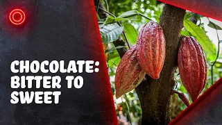 The Bitter History of Chocolate