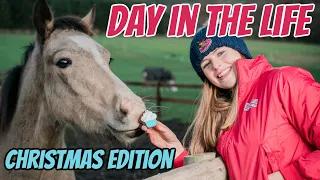 A DAY IN THE LIFE OF ME *Christmas equestrian edition* ~ Vlogmas day 11