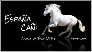 ESPAÑA CAÑI - Cavalli al Paso Doble | Cover by Antonio Gaeta