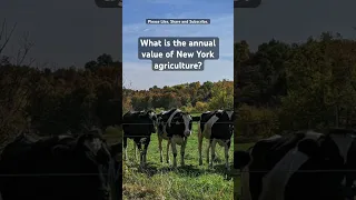 What’s the annual value of #NewYork #agriculture? #farming #ranching #shorts @NewYorkFarmBureau