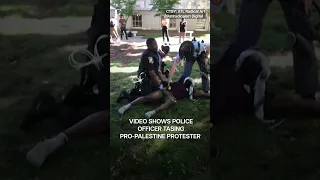 Dramatic Video Shows Police Officer Using Taser on Pro-Palestine Protester in US