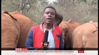 Elephant in Kenya interrupts reporter Alvin Kaunda and steals the show (Fun story)