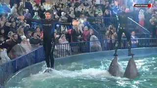 «Шоу Дельфинов» состоялось в Волгограде