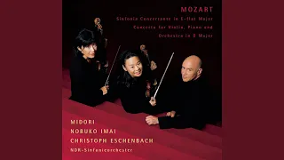 Sinfonia concertante in E-Flat Major, K. 364: II. Andante