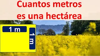 Cuantos metros es una hectarea