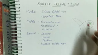 Superior orbital fissure contents / mnemonic