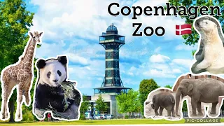Copenhagen Zoo Complete Tour (2022) in 4K| Birthday celebration #københavnzoo #zoologiskhave |