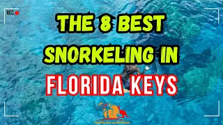 The 8 Best snorkeling in Florida Keys