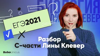 Разбор С-части | БИОЛОГИЯ ЕГЭ | Лина Клевер